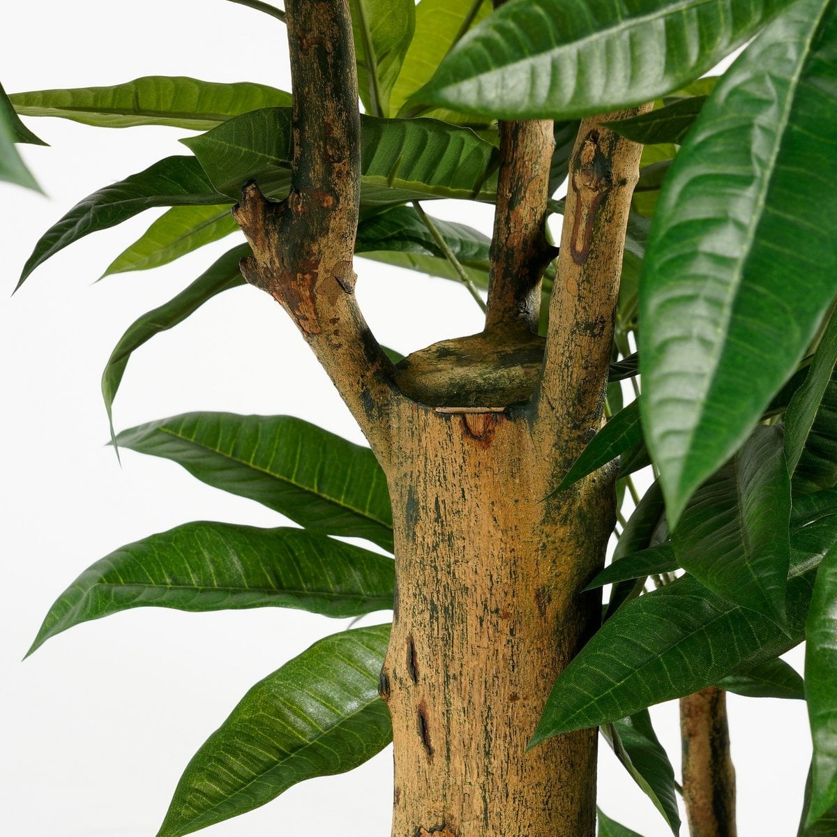 Artificial plant Pachira Green