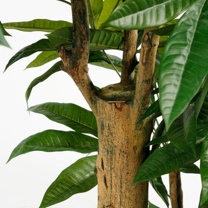 Artificial plant Pachira Green