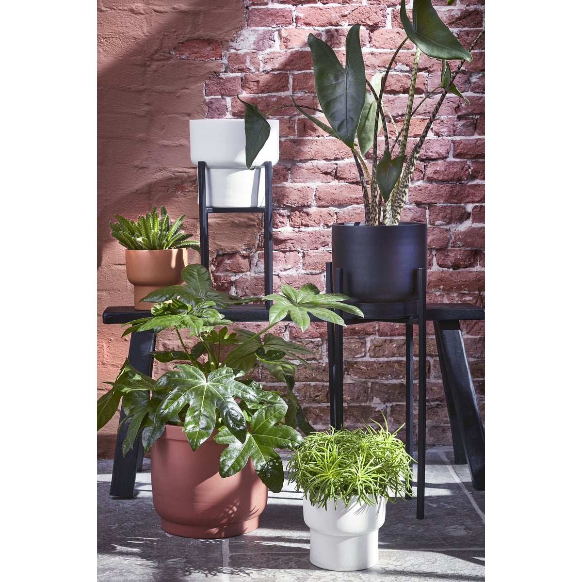 Plant stand Ascot Black