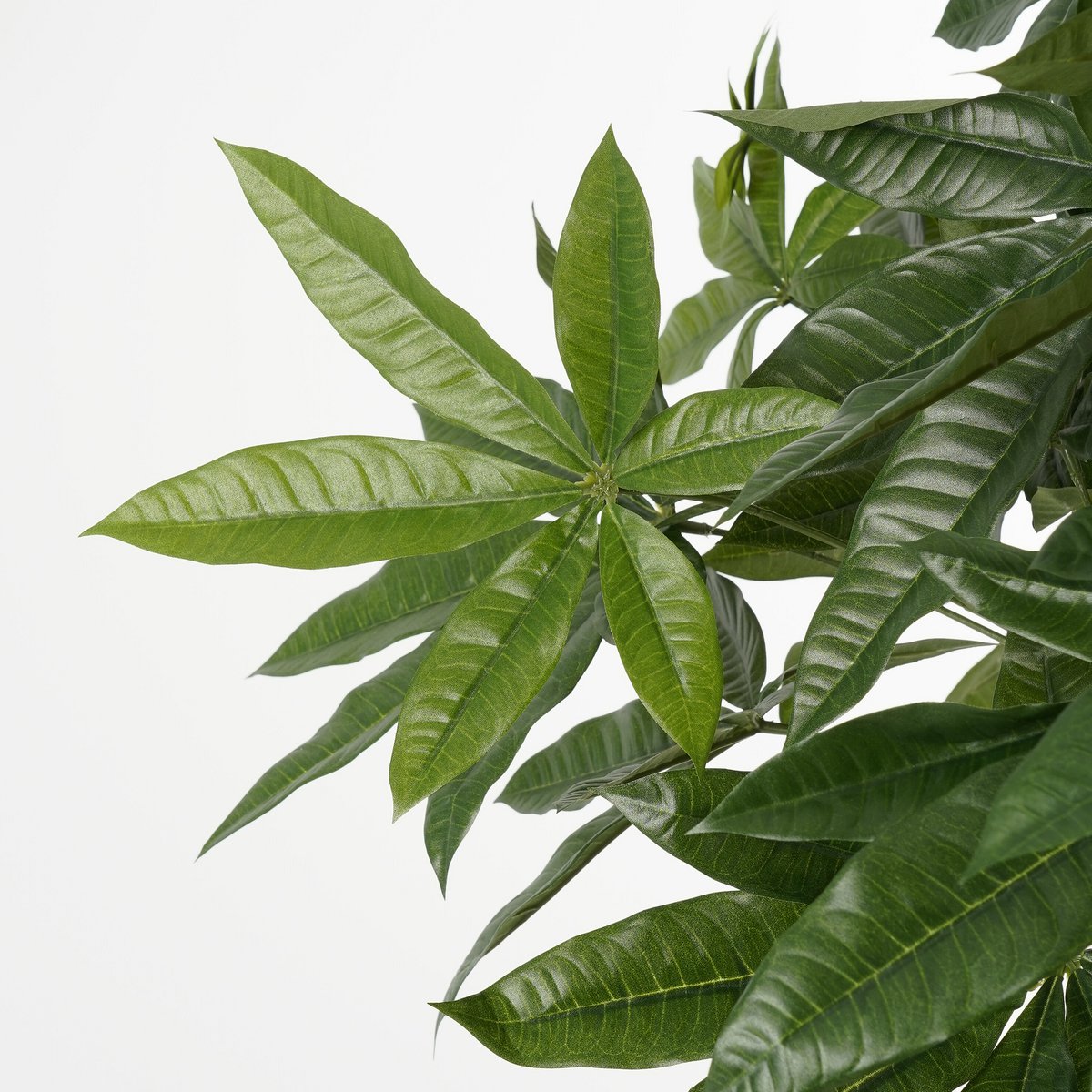 Artificial plant Pachira Green