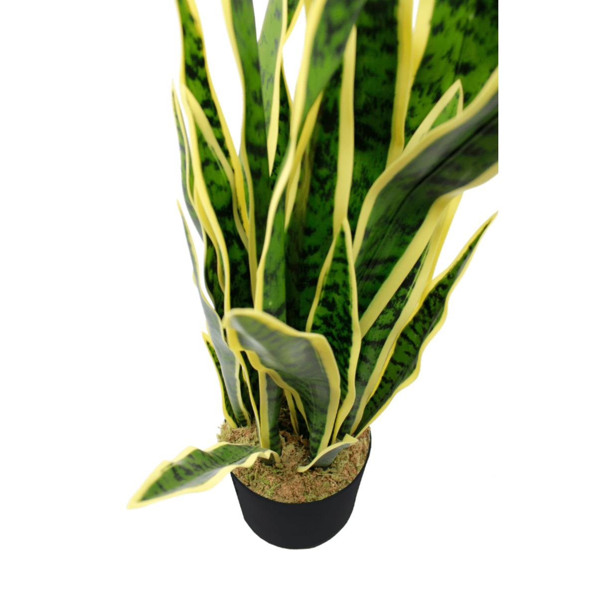 Sansevieria artificial plant 70cm