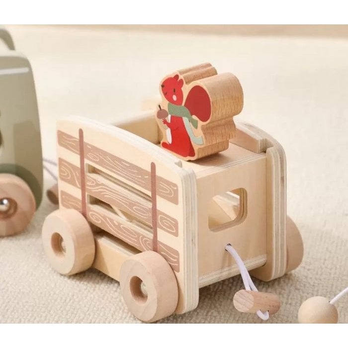 Wooden Train Learning Toy