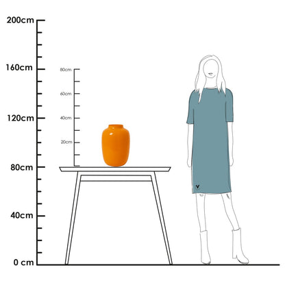 Vaas - Artic dark orange