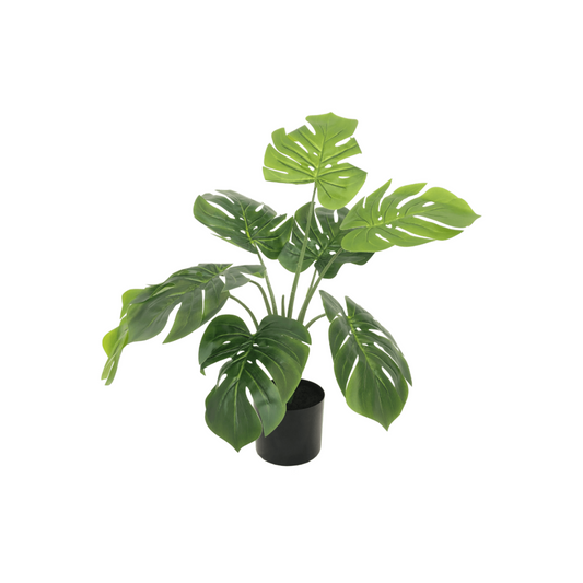 Monstera Artificial plant 60cm