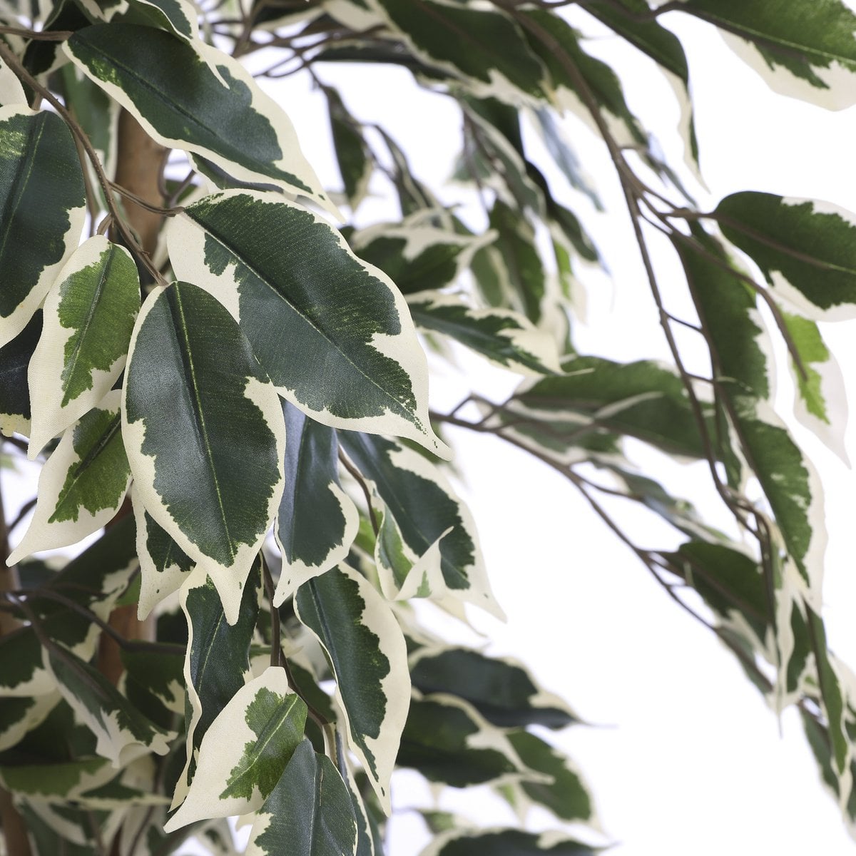 Artificial plant Ficus Green