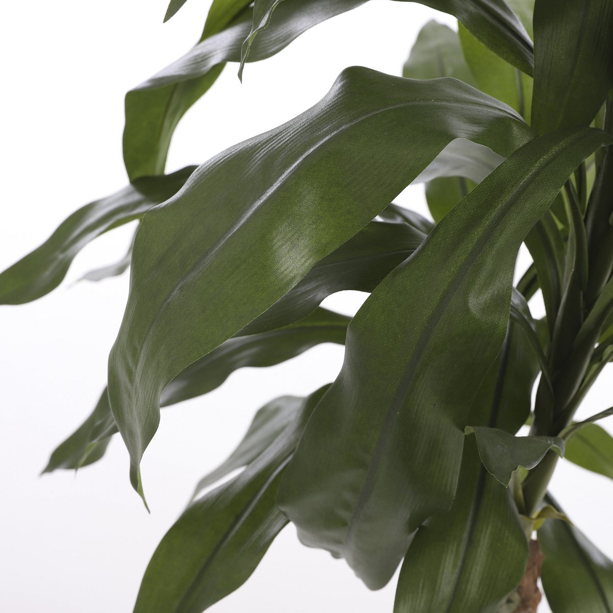 Artificial plant Dracaena Green
