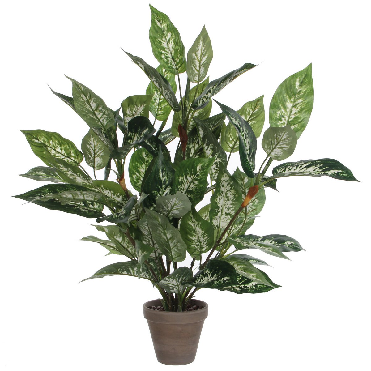 Artificial plant Dieffenbachia Green