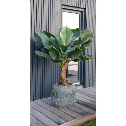 Plantenpot - Arenal relic jade