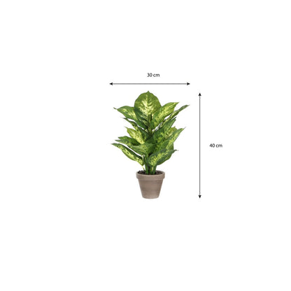 Artificial plant Dieffenbachia Green