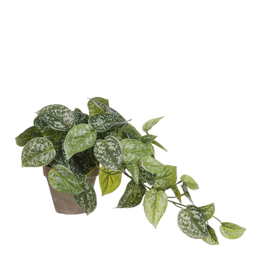 Artificial hanging plant Scindapsus Green