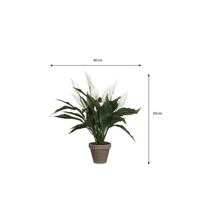 Artificial plant Spathiphyllum White