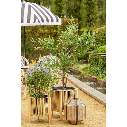 Lantern Liliano Black