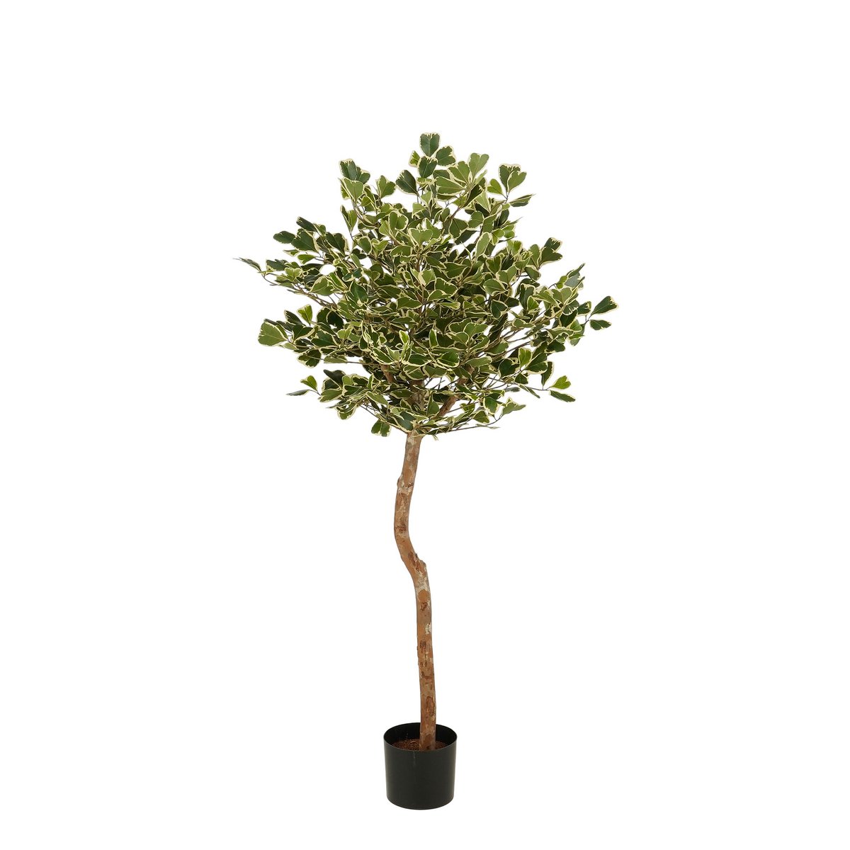 Artificial plant Ficus Green