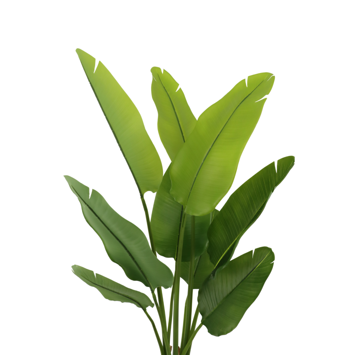 Artificial Strelitzia Plant 120cm