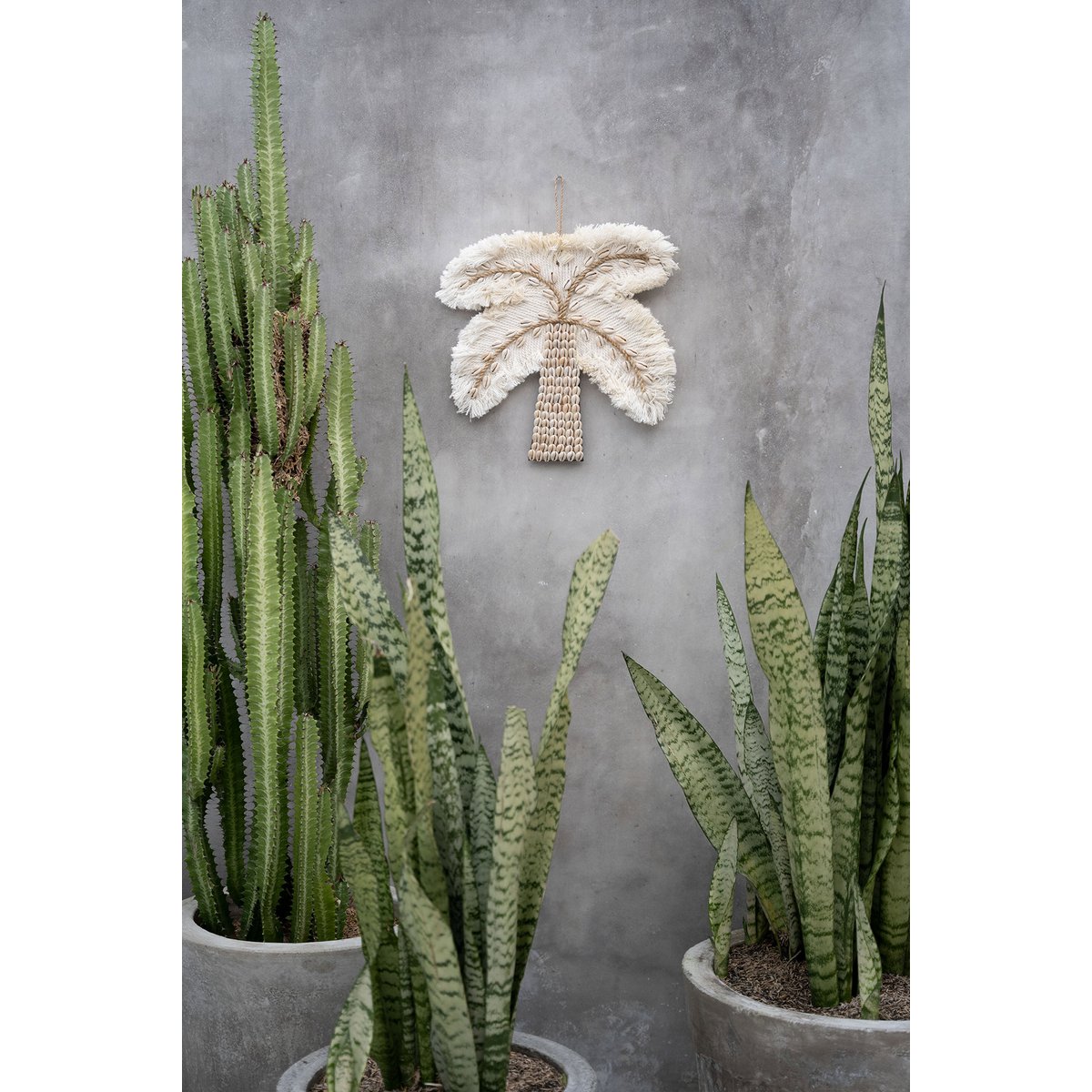 The Cotton Shell Palm Tree - White Natural