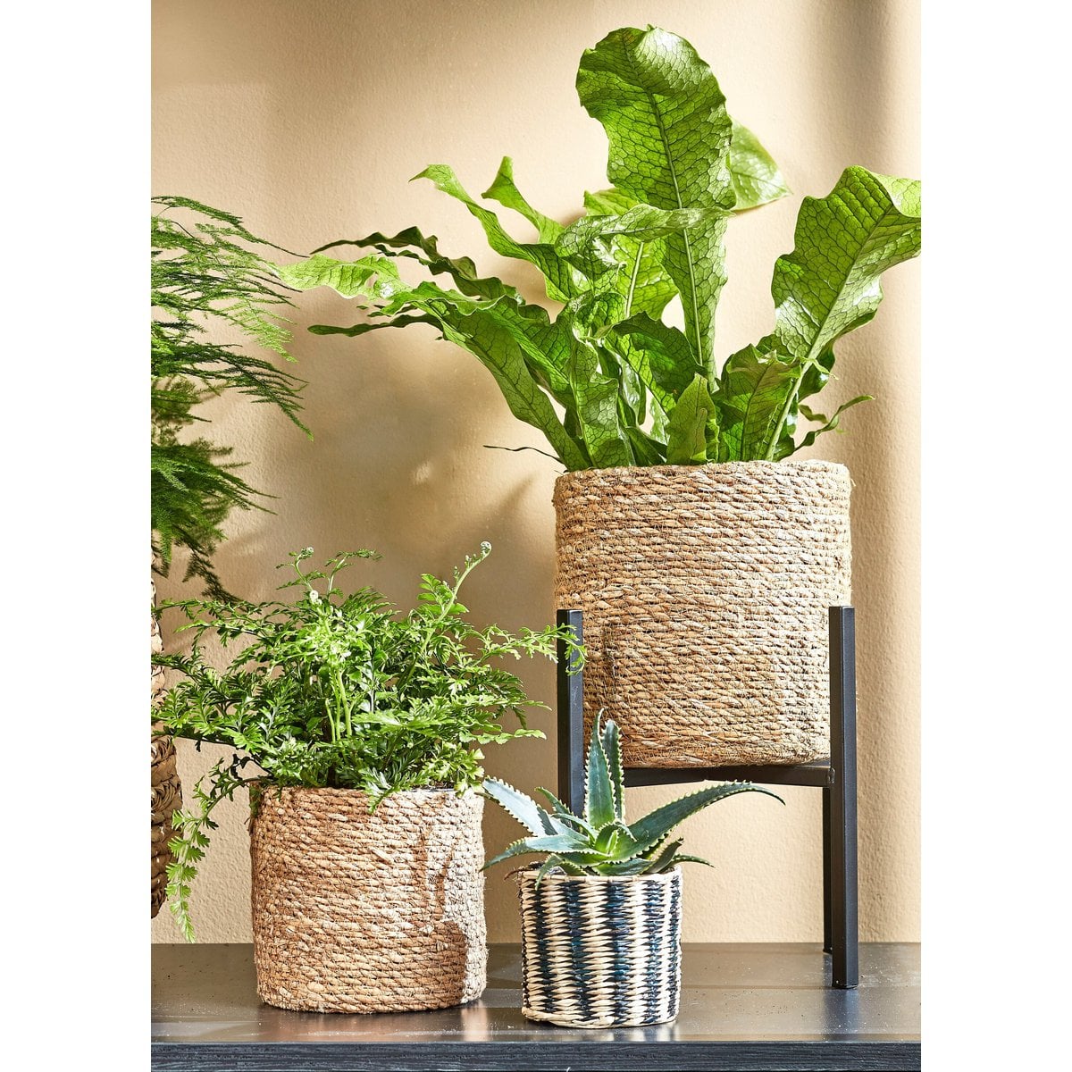 Plant stand Ascot Black