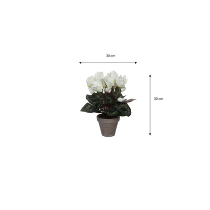 Artificial plant Cyclamen White