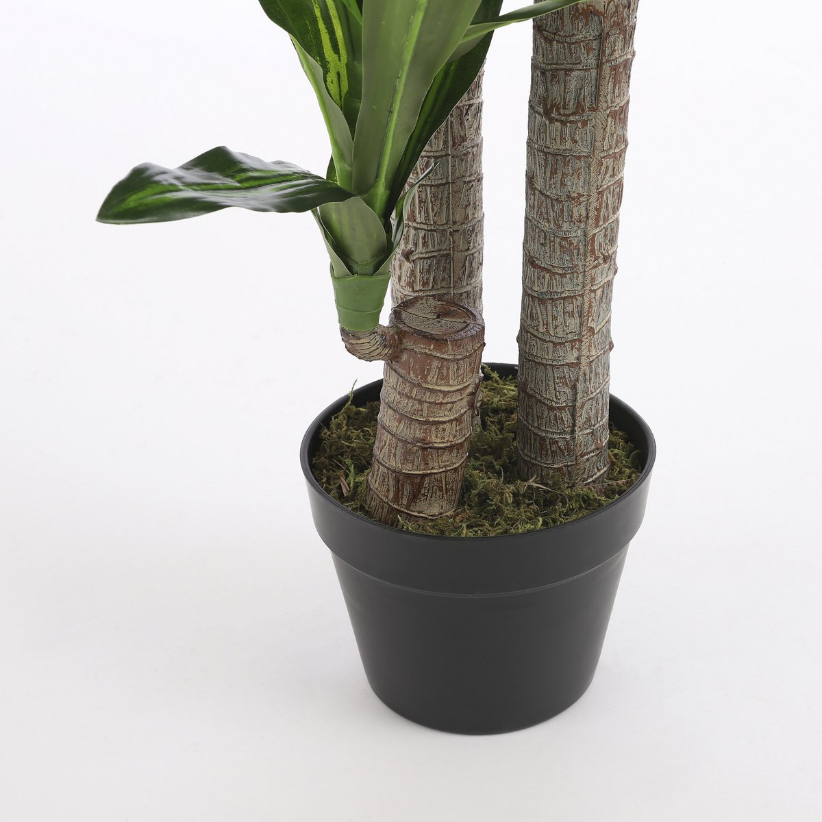 Artificial plant Dracaena Green
