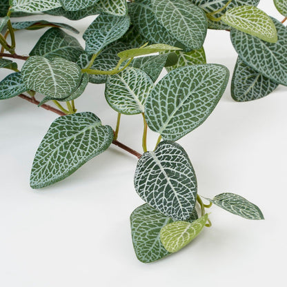 Artificial hanging plant Fittonia Green
