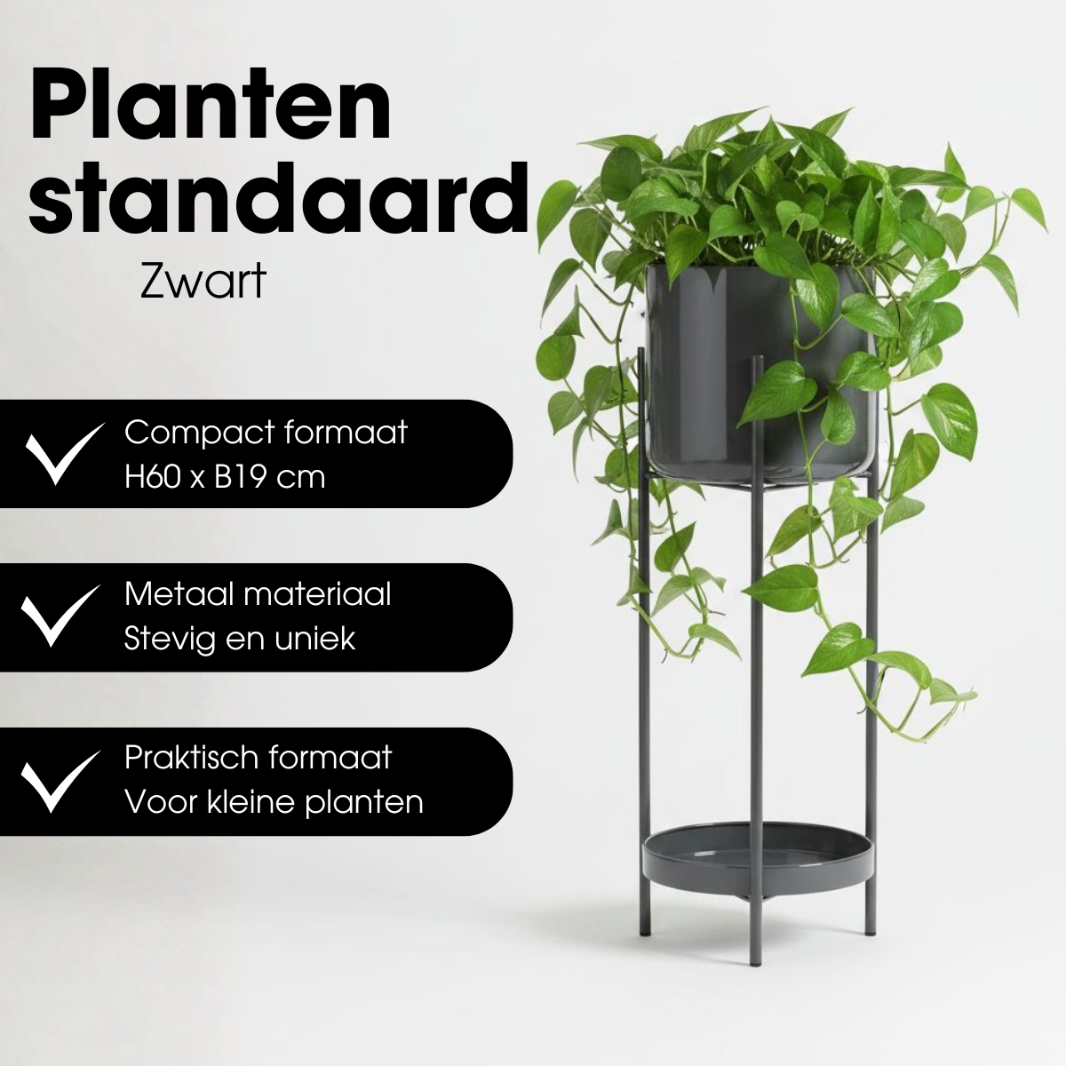 Flowerpot inside Colyn Black