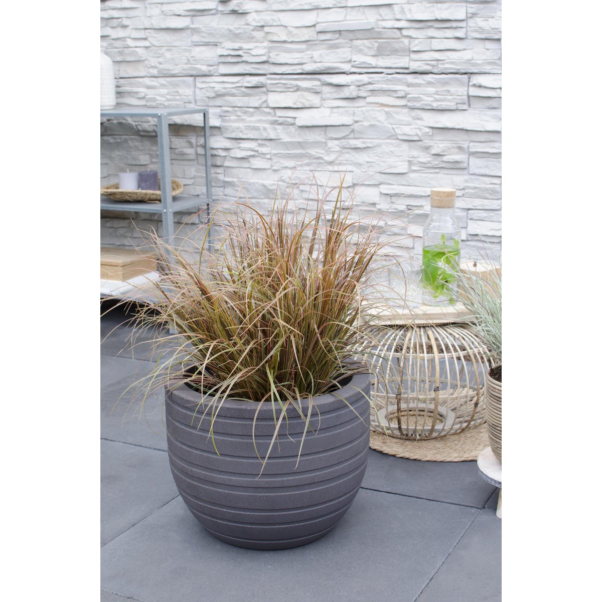 Uncinia rubra Everflame - Ø19cm - ↕40cm - Ø19 - ↨40cm