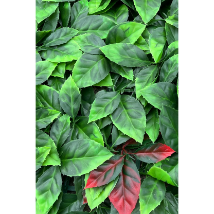 Kunsthaag Photinia 60x40cm