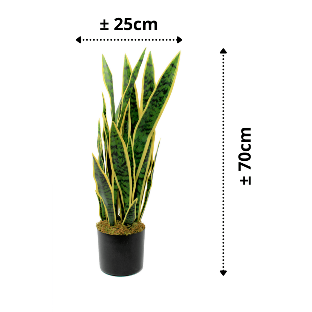 Sansevieria artificial plant 70cm