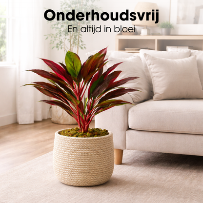 Artificial plant Cordyline Red