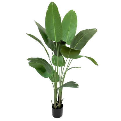 Artificial Strelitzia Plant 160cm