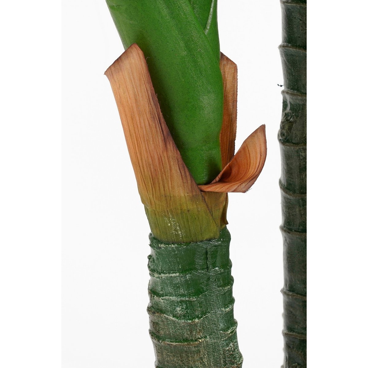 Artificial plant Dieffenbachia Green