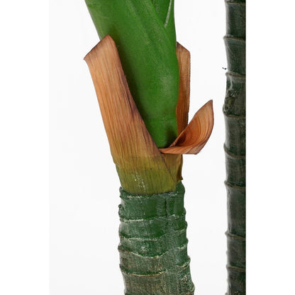 Artificial plant Dieffenbachia Green