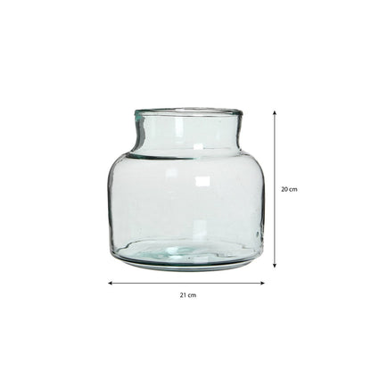 Vaas Vienna Transparent