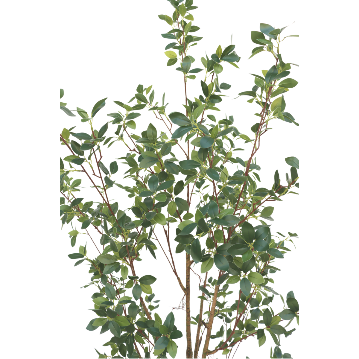 Ficus Artificial plant 180cm