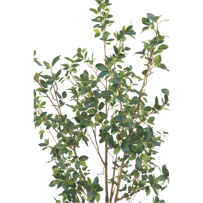 Ficus Artificial plant 180cm