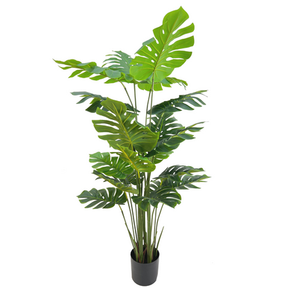 Monstera Artificial plant 165cm