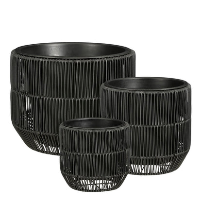 Flowerpot outside Peta Black