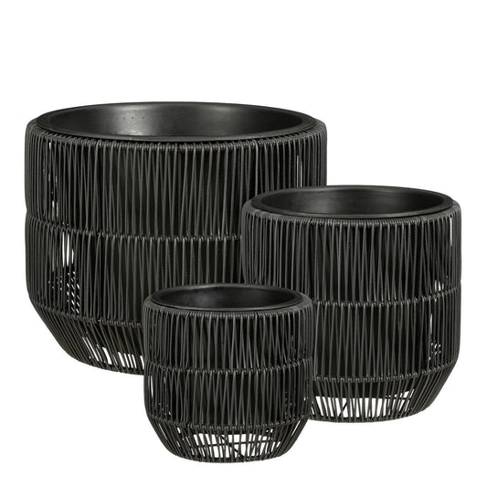 Flowerpot outside Peta Black