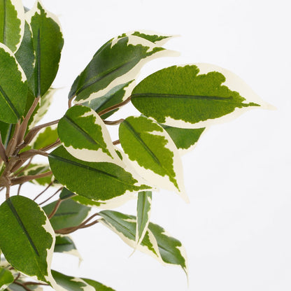 Artificial plant Ficus natasja Green