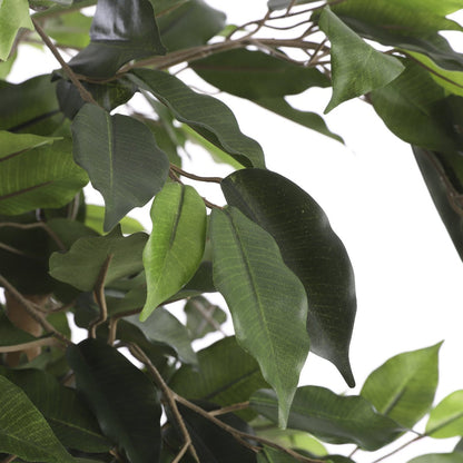 Artificial plant Ficus Green