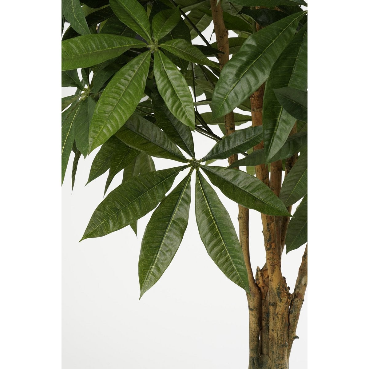 Artificial plant Pachira Green