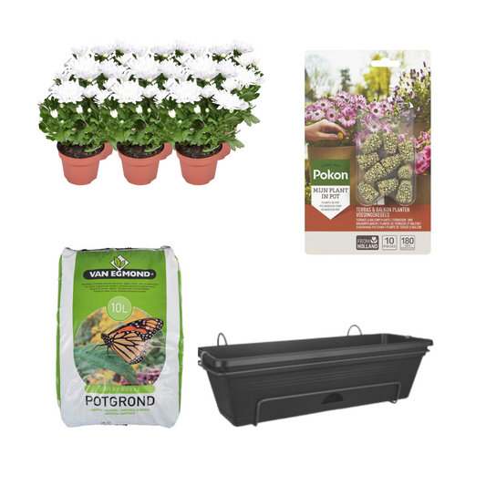Balcony Bucket Black DIY -SET - Chrysanthemum Brave