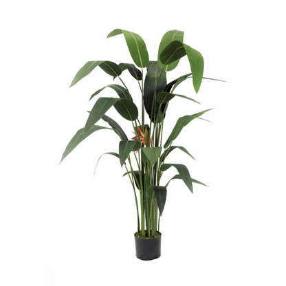 Artificial Strelitzia Plant With Flower 160cm