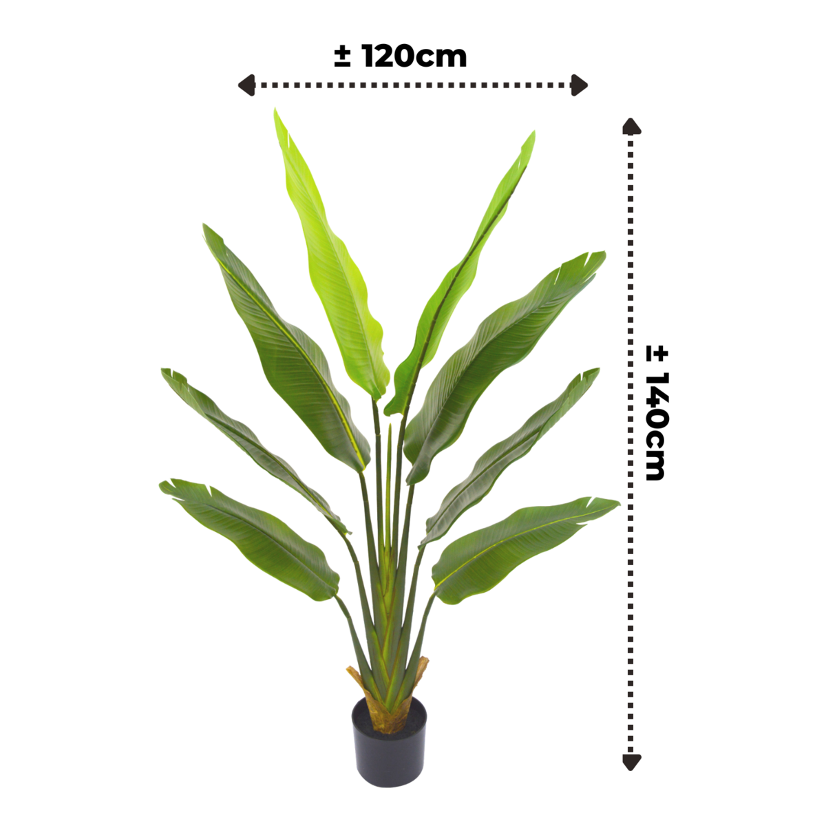 Artificial Strelitzia Plant 140cm