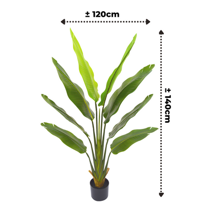 Artificial Strelitzia Plant 140cm