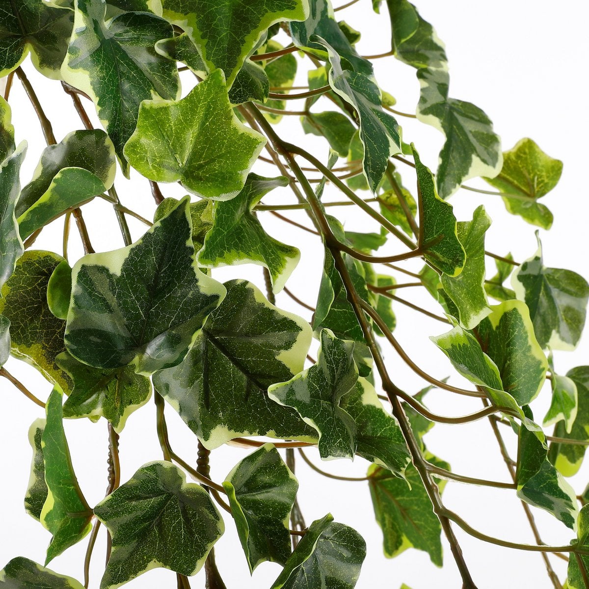 Artificial hanging plant Ivy Green