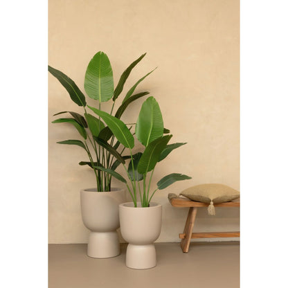 Artificial Strelitzia Plant 120cm