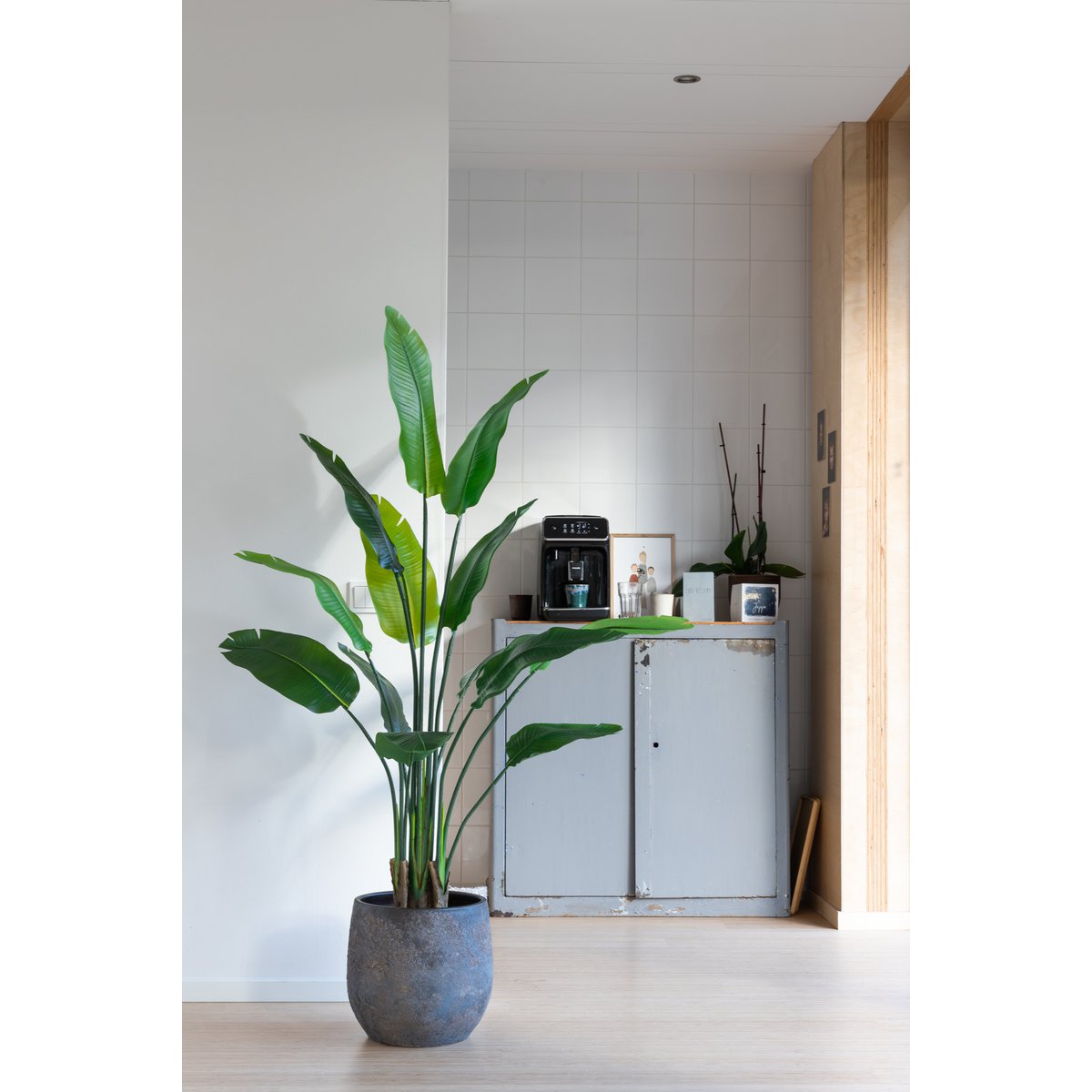 Strelitzia Artificial Plant 160cm