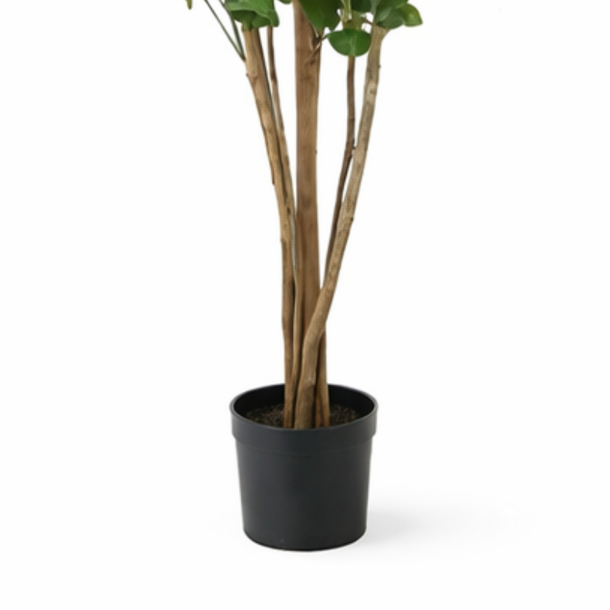 Artificial plant Eucalyptus tree Green