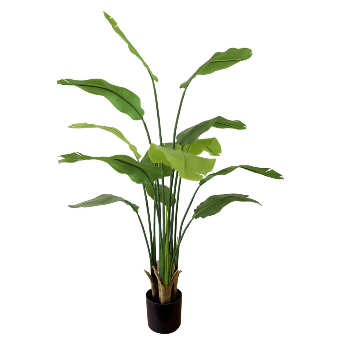 Strelitzia Artificial Plant 160cm