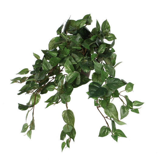 Artificial hanging plant Scindapsus hanging Green